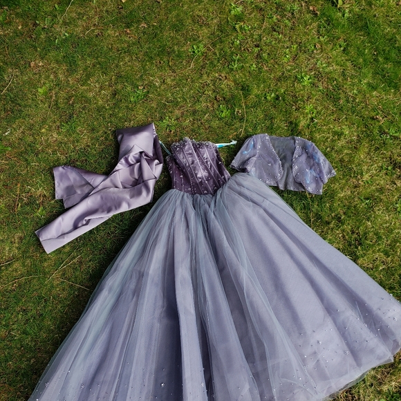 Prom / Grad Dress - Picture 5 of 16